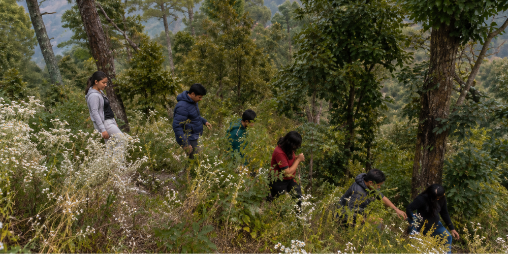 SnazzyTrips team working to create unforgettable journeys across Uttarakhan